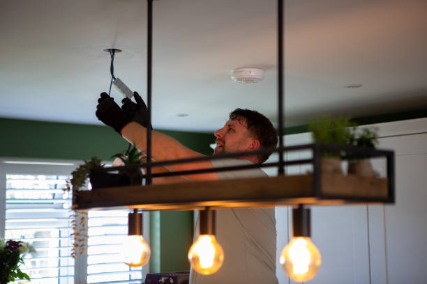 Best Electric Panel Repair  in Montrose, VA